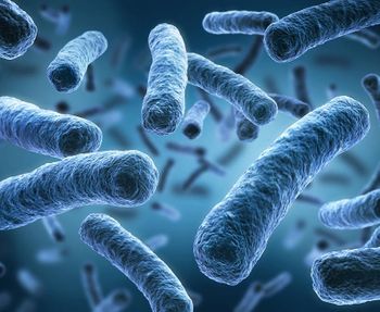 Legionella